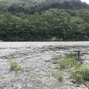 꽃여울강변 이미지