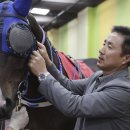 서인석 카카오 검색결과