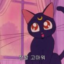 타코파 이미지
