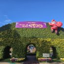 국화축제장 입구 | &#34;건물도 국화로 덮혀있어요&#34; 국내 최대 국화 축제인 대한민국 국향대전