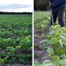 희남농장 이미지