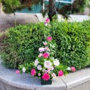 예원약국 이미지