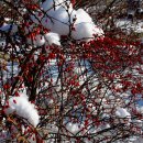 김용식농장 이미지