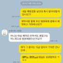 수원고양이분양 도레미캣 이미지