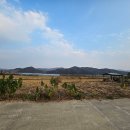 [급][경기 이천] 주말농장 & 농막 & 전원주택지 한필지 허가득 (7200만) 이미지