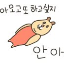 백세투어 이미지