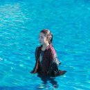 S.T엔터테이먼트 이미지