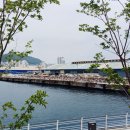 아이랑 갈만한 곳 포트 빌리지 부산 교통 주차 및 기본 정보와 먹거리 볼거리의 축제의 현장 솔직 후기