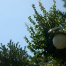 풍경안에서 이미지