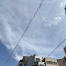 [덕계]여행사진 사람도 풍경이다 | 오사카 여행 4일차 기록| 린쿠타운 아울렛 득템과 오사카 마지막 풍경