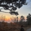 하동집 | 울산 현지인 국밥맛집 풍자 또간집 : 남목 하동식당 주말 아침 방문후기