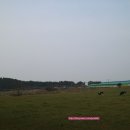 조림목장 이미지