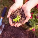 솔바우마을 이미지