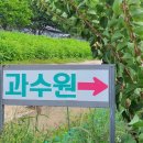 간성농장 이미지