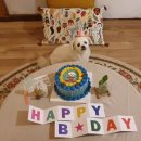 오 마이 리틀베이비 이미지