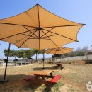 자동목장 이미지