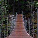 에이플하우스 이미지