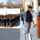 선덕고등학교 이미지