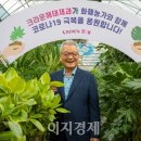 해태플라워