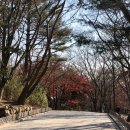 명동쫄면 이미지