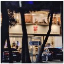 광 회집 이미지