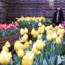 보롬제주 이미지