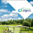 모든카써비스