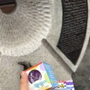 광주 동구 충장로 말랑이 왁뿌볼 슬랑이 파는곳 모던 후기 (쿠팡보다 쌈)