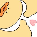 제주 야자원 이미지