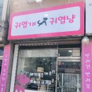 귀엽개귀엽냥 | 가좌동 애견미용 아기자기 깔끔한 '귀엽개귀엽냥'에서 꽃단장!