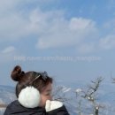 운두령산장 이미지