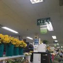 세유상사