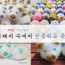 복돼지꿈 - 서산시 | 복돼지꿈