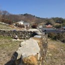 매화카센타 이미지