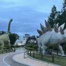 앞산어린이공원 놀이터 이미지