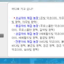 메이플 이미지