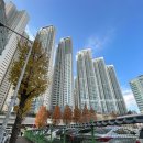 구터미널공영주차장 이미지