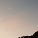 (주)토원 - 19817 | (주)토원