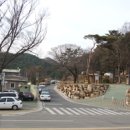 국계 이미지
