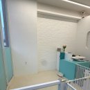 J애견미용 | 목포 남악 몽글몽글 애견샵 강아지미용 단모치와와 미용 잘하는곳 솔직후기