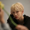 지니미니 이미지