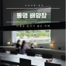 두번째마음 | 통영 카페 배양장, 여행 중 쉬어 가기 좋은 두 번째 방문 솔직 후기