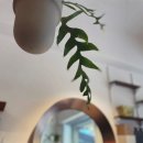 하이홉(hihope) 이미지
