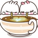 컴프하우스(컴프카페) 이미지