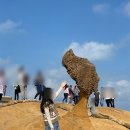 차 : 대만 예스허지 JJ택시투어 가격, 예약방법, 후기 (예류, 스펀, 허우통, 지우펀), 시먼딩 맛집...