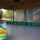 나운어린이집 이미지