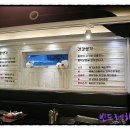 철든돼지 이미지
