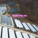 써니5 태양광발전소 네이버블로그