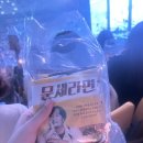 나포중학교 | 2025 이문세 the BEST, 서울 콘서트 일요일 막콘 관람 후기