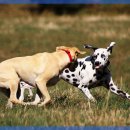 스토리(A) 이미지